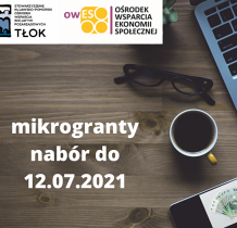 Złóż wniosek na mikrogranty OWES TŁOK EDYCJA VI/2021